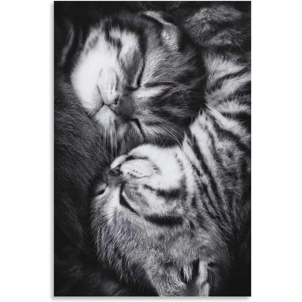ALAYRA Two Little Lazy Cats Poster, Cute Cat Decor, Black & White Art, Warm Healing Pet Canvas Painting Modern Home Wall Living Room Bedroom Kids Room Poster 12x18 Inch (Unframed) 01