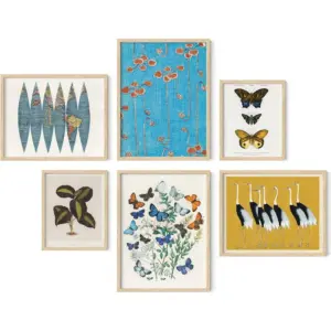 ALAYRA Vintage Art Prints - Butterfly Posters for Room Aesthetic Vintage, Nature Posters, Botanical Vintage Posters, Cottagecore Poster, Wall Gallery Decor, Classic Art Poster (Unframed) 01