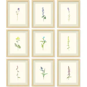 ALAYRA Vintage Botanical Wall Art - Antique Botanical Prints, Rustic Floral Wall Art, Flower Art Wall Decor, Wildflower Posters Botany Pictures for Home Bedroom Decorations (8x10 UNFRAMED) 01