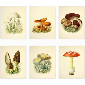 ALAYRA Vintage Botanical Wall Art Prints Posters for Room Aesthetic, 8X10 Inch Unframed Plant Poster Set of 6 Mushroom Cottagecore Room Decor Bedroom Teen Girl Living room Wall Decor (8 x 10'') 01