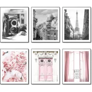 ALAYRA Vintage Fashion Paris Wall Art Prints Black and White Canvas Poster Eiffel Tower Pink Flower Doors Windows Pictures Photos Wall Decor for Office Bedroom Living Room (8"x10" UNFRAMED) 01