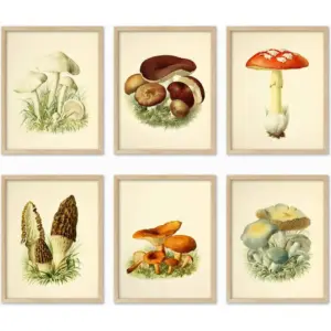 ALAYRA Vintage Mushroom Botanical Wall Art Prints Posters for Room Aesthetic, 11 x 14 Inch Unframed Plant Poster Set of 6 Mushroom Cottagecore Room Decor Bedroom Teen Girl Living room Wall Decor 01