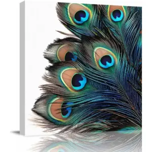 ALAYRA Wall Art Oil Paintings on Canvas Print Peacock Feather Arts Office Artwork Home Decoration Living Room Bedroom Bathroom Giclee Walls Decor, Wooden Framed Ready to Hang 20x20in 01