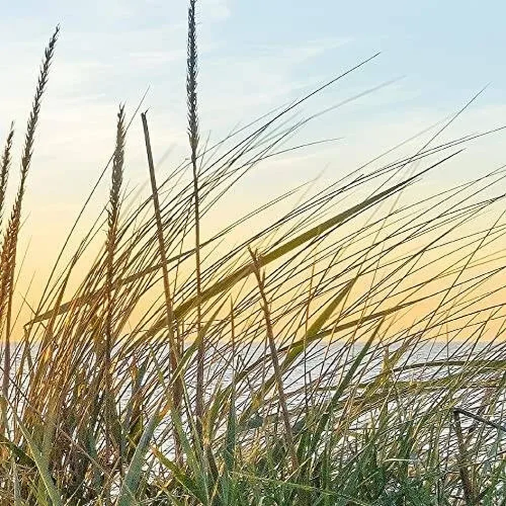 ALAYRA Wall Picture Beach Sunset 1 Piece Modern Picture on Non-Woven Canvas Living Room Hallway Sea Nature Blue Beige 041712a 01 - Image 5