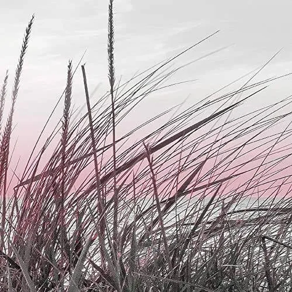 ALAYRA Wall Picture Beach Sunset 1 Piece Modern Picture on Non-Woven Canvas Living Room Hallway Sea Nature Pink Grey 041712b 01 - Image 5