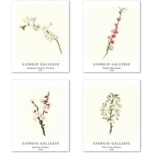 ALAYRA Wall Unframed Prints Giclee Paper Set of 4, 8x10 inch Flower work, Bedroom Decoration Botanical Minimalist Vintage Nature Illustrations Housewarming Gift Giorgio Gallesio Paintings 01