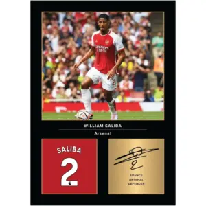 ALAYRA William Saliba Signed A4 Printed Photo Picture Display Gift For Arsenal Fans Digitally Reproduced Signature Unframed 01