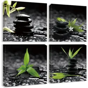 ALAYRA Zen Wall Painting Black and White work for Walls Still Life Green Plant Bathroom Livingroom Canvas Picture Home Decor 16"x16" 01