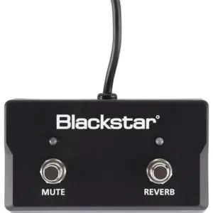 Blackstar FS-17 2 Way Latching Foot Controller, Dual Button Footswitch for Sonnet Acoustic Amplifiers, Reverb On/Off and Mute Control, 1/4 Inch TRS Connection, No Power Required, Black | BA901008